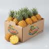 Ananas Victoria de La Réunion-PEI FRUITS EXPORT